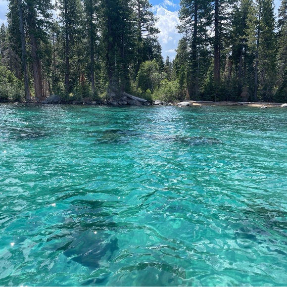 Meet your Posher, Jennifer - Picture 5 of 15